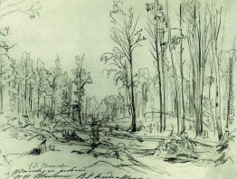 Wald Schneid Wald Schneid