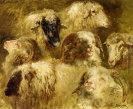 Leiter der Mutterschafe und Rams Leiter der Mutterschafe und Rams