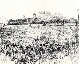 Feld mit Blumen Feld mit Blumen