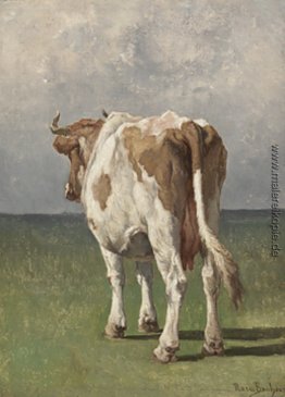 Study of a Cow Study of a Cow