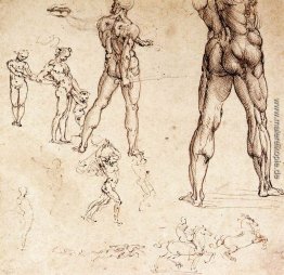 Anatomische Studien Anatomische Studien