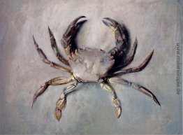 Velvet Crab Velvet Crab