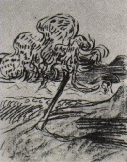Studie einer Obstbaum Studie einer Obstbaum