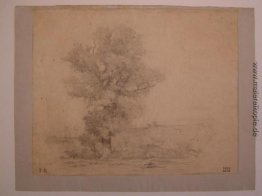 Landschaft Landschaft