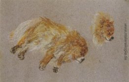 Zwei Studien von Schlafender Hund Zwei Studien von Schlafender Hund