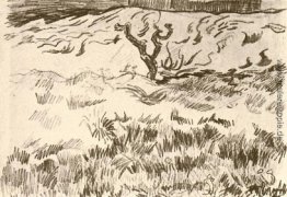 Feld mit Kahler Baum Feld mit Kahler Baum
