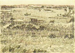 Ernte-Landschaft Ernte-Landschaft