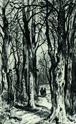 Waldweg Waldweg