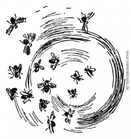 Insekten Insekten
