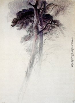 Studium der Bäume von Turner Studium der Bäume von Turner