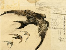 Vier Swifts mit Landschaftsskizzen Vier Swifts mit Landschaftsskizzen