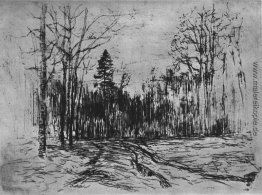 Pfad in den Wald Pfad in den Wald