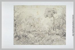 Landschaft Landschaft