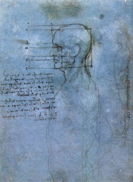 Studium der Anteil Studium der Anteil