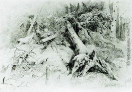 Wind umgestürzte Bäume Wind umgestürzte Bäume