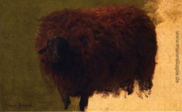 Großes Wooly Schafe (auch als Wether bekannt) Großes Wooly Schafe (auch als Wether bekannt)