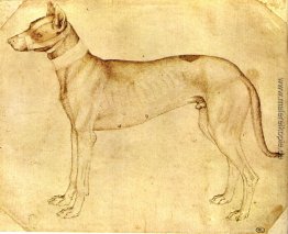 Hund Hund