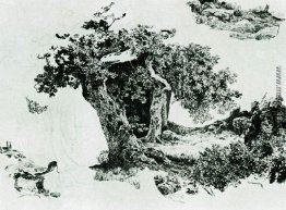 Gruppe von Laubbäumen und Steine Gruppe von Laubbäumen und Steine