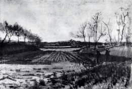 Kartoffelfeld hinter den Dünen Kartoffelfeld hinter den Dünen