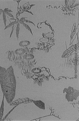 Blumen und Seerosen im Mangwe, Tome Blumen und Seerosen im Mangwe, Tome