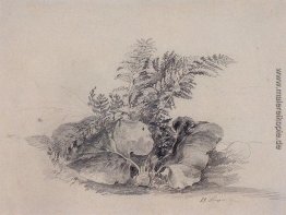 Fern Blätter und Klette Fern Blätter und Klette