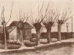 Kleines Haus auf einer Straße mit Pollard-Weiden Kleines Haus auf einer Straße mit Pollard-Weiden