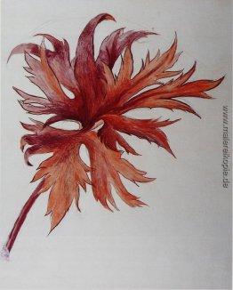 Orange und lila leafspray Orange und lila leafspray