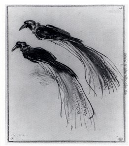 Zwei Studien eines Paradiesvogel Zwei Studien eines Paradiesvogel