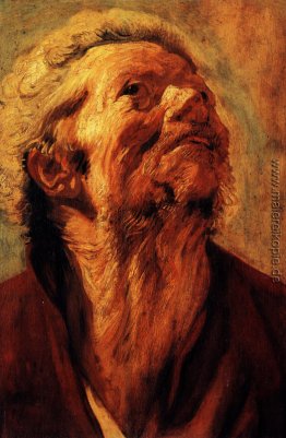 Studie des Kopfes von Abraham Grapheus Studie des Kopfes von Abraham Grapheus