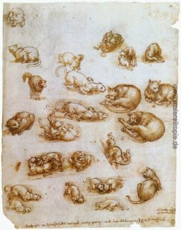 Studienblatt mit Katzen, Drachen und andere Tiere Studienblatt mit Katzen, Drachen und andere Tiere