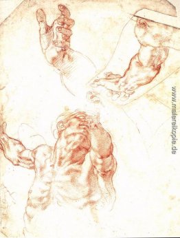 Die Studie von Adam Die Studie von Adam