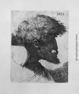 Alte Mann `s Kopf im Profil Alte Mann `s Kopf im Profil