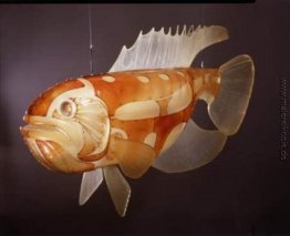 Ohne Titel Ohne Titel