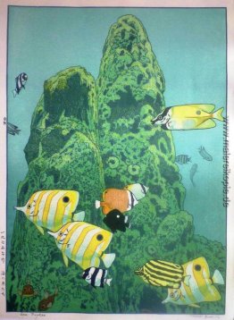 Sea Fishes Sea Fishes