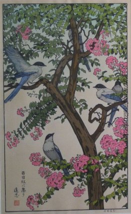 Vögel der Jahreszeiten - Sommer Vögel der Jahreszeiten - Sommer