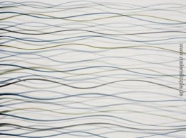 See Whitingham Vermont 20. Juli 2002 (Morgen-Effekt) See Whitingham Vermont 20. Juli 2002 (Morgen-Effekt)