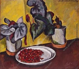 Beeren und Begonien Beeren und Begonien