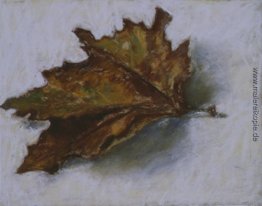 Ein totes Blatt Ein totes Blatt