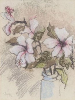 Stillleben mit Hibiskus Stillleben mit Hibiskus