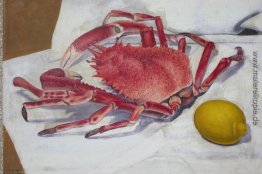 Ohne Titel Ohne Titel