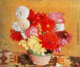 Pfingstrosen Pfingstrosen