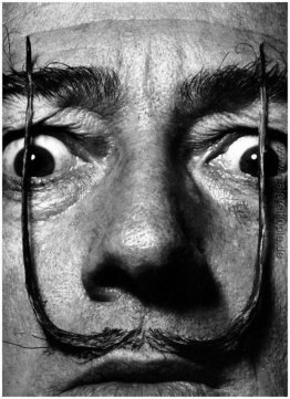 Salvador Dali Salvador Dali
