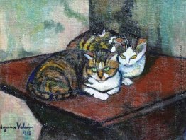 Zwei Katzen Zwei Katzen