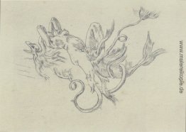 Tranformism Tranformism