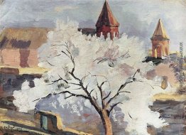 Aprikosenbaum in Blüte Aprikosenbaum in Blüte