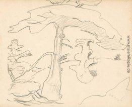 Monhegan (Studie) Monhegan (Studie)