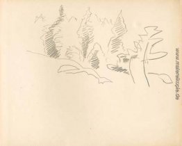Monhegan (Studie) Monhegan (Studie)