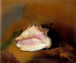 Das Seashell Das Seashell
