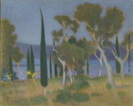 Landschaft Landschaft