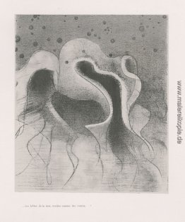 Die Tiere des Meeres, rund wie Leder Flaschen (Platte 22) Die Tiere des Meeres, rund wie Leder Flaschen (Platte 22)